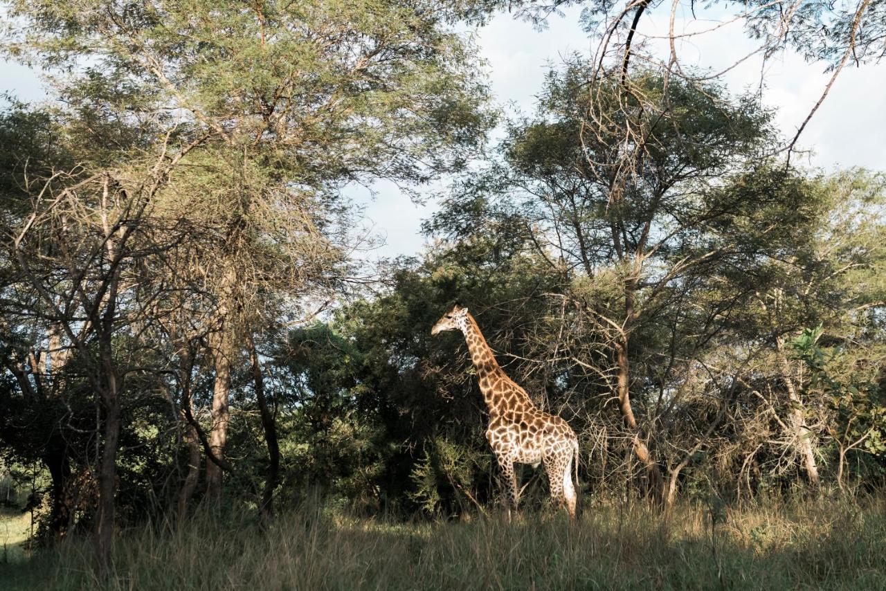 Tzaneen Country Lodge Екстериор снимка